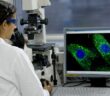 Biopharmazeutika: Erfolge für die Biotechnologie in Deutschland