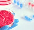 Valio erforscht zukünftige Lebensmittelproduktion mit Methoden der zellulären Landwirtschaft (Foto: AdobeStock - tilialucida)