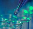 Forschungszulage: Biotechnologie-Industrie sieht Verbesserungspotenzial (Foto: AdobeStock - motorolka)