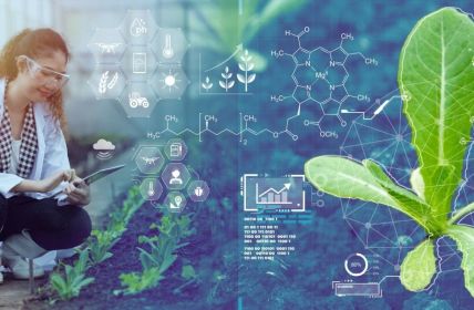 Eurofarma Ventures: 100 Millionen US-Dollar für innovative (Foto: AdobeStock 660937141 Quality Stock Arts)